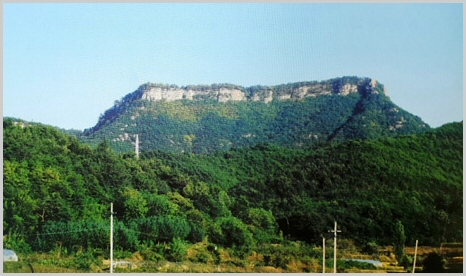 in2_01.jpg